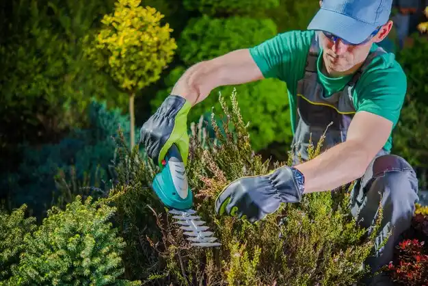 landscaping services Marble Hill